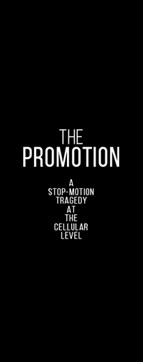 The Promotion (Motion Graphic)